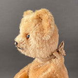 SCHUCO Teddy Bear Hand Puppet ~ 1950s Rare!