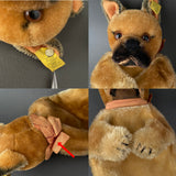 STEIFF Boxer Hand Puppet ~ 1951-58 Rare!