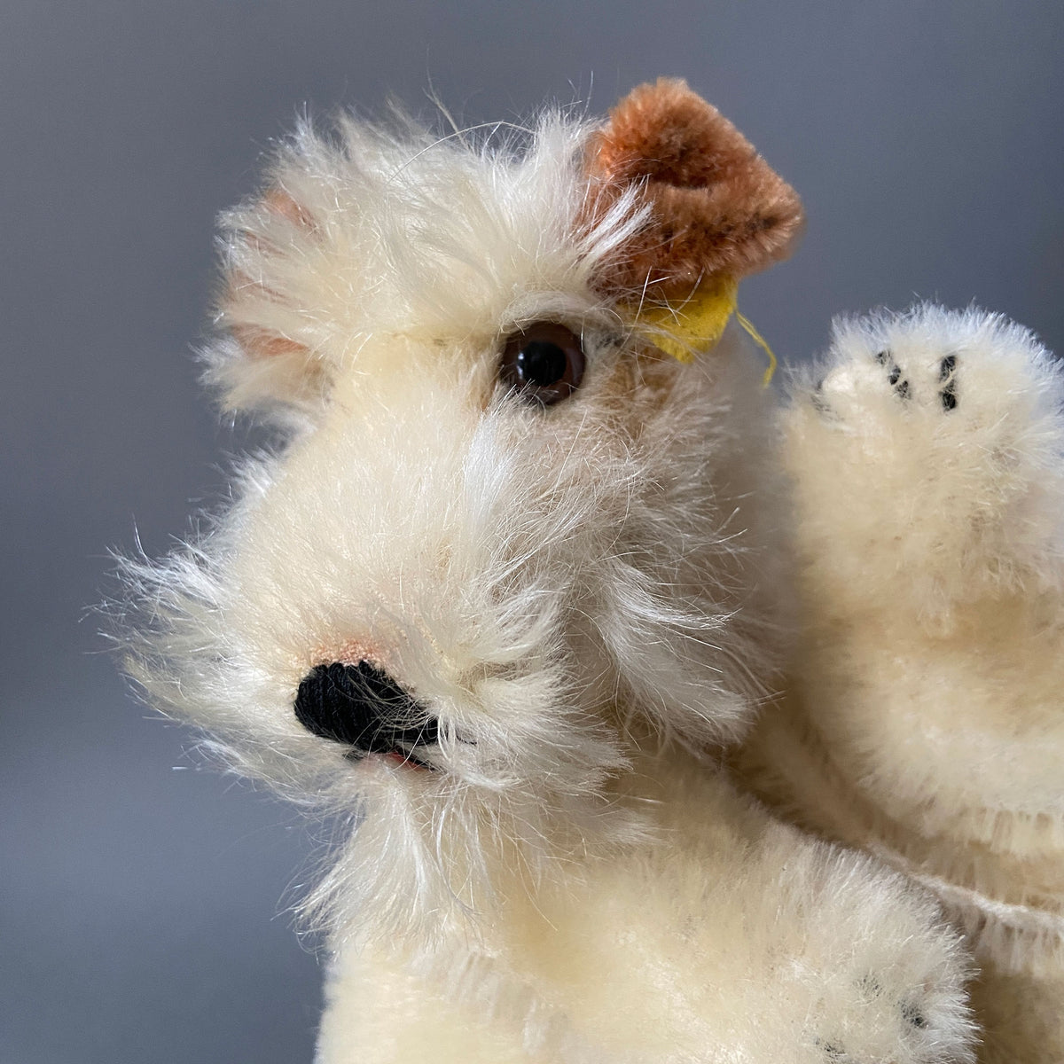 Vintage STEIFF Foxy Terrier Dog Hand Puppet ~ 1968-78 – Once