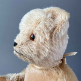 SCHUCO Teddy Bear Hand Puppet ~ 1950s Rare!
