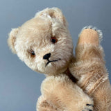 SCHUCO Teddy Bear Hand Puppet ~ 1950s Rare!