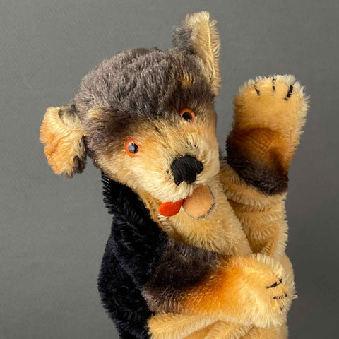 STEIFF Lumpi Dachshund Hand Puppet ~ 1965-66 Rare!