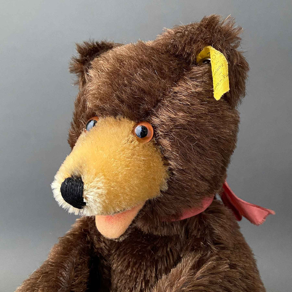 Beer Puppet Famous Bear Puppet