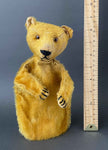 TEDDY Bear Hand Puppet ~ early 1900s