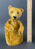 TEDDY Bear Hand Puppet ~ early 1900s