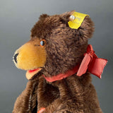 STEIFF Teddy Bear Hand Puppet ~ ALL IDs 1959-67 Rare!