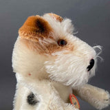 STEIFF Terrier Dog Hand Puppet ~ 1950-60s