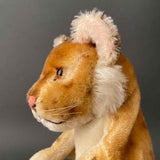 STEIFF Young Lion Hand Puppet ~ 1950s Rare!