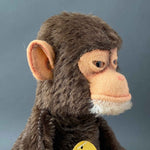STEIFF Jocko Monkey Hand Puppet ~ ALL IDs 1968-78
