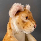 STEIFF Young Lion Hand Puppet ~ 1950s Rare!