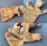 LIONESS Hand Puppet ~ 1950s Rare!