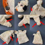 STEIFF Fox Terrier Dog Hand Puppet ~ 1913-34 Rare!