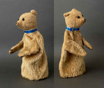 Farnell Teddy Bear Hand Puppet ~ 1920s Rare!