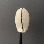 SKELETON Hand Puppet Head ~ by Edi Kallista 1920-40s Rare!