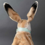 MARUEI Rabbit Hand Puppet ~ 1950s