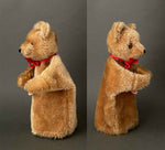 MUTZLI Teddy Bear Hand Puppet ~ Switzerland 1960s Rare!