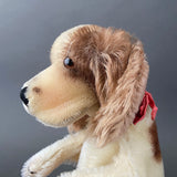 STEIFF Cockie Dog Hand Puppet ~ ALL IDs 1959-67 Rare!