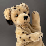 STEIFF Dally Hand Puppet ~ 1955-56 Rare!