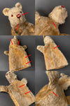 STEIFF Lion Hand Puppet ~ 1936-43 Rare!