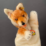 STEIFF Fox Hand Puppet ~ ALL IDs 1959-63 Rare!
