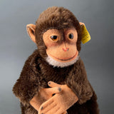 STEIFF Jocko Monkey Hand Puppet ~ ALL IDs 1959-67