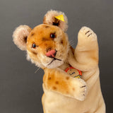 STEIFF Lea Hand Puppet ~ ALL IDs 1954-61 Rare!