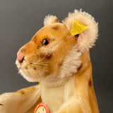 STEIFF Lea Hand Puppet ~ ALL IDs 1954-61 Rare!