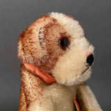 STEIFF Molly Dog Hand Puppet ~ ALL IDs 1950-58 Rare!