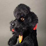 STEIFF Snobby Poodle Hand Puppet ~ ALL IDs 1959-66