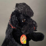 STEIFF Snobby Poodle Hand Puppet ~ ALL IDs 1959-66