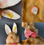 STEIFF Rabbit Hand Puppet ~ ALL IDs 1950-58 Rare!