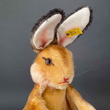 STEIFF Rabbit Hand Puppet ~ ALL IDs 1950-58 Rare!