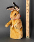 STEIFF Rabbit Hand Puppet ~ ALL IDs 1950-58 Rare!