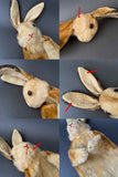 STEIFF Rabbit Hand Puppet ~ 1960s