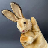 STEIFF Rabbit Hand Puppet ~ 1960s