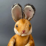 STEIFF Rabbit Hand Puppet ~ 1950-60s