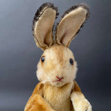 STEIFF Rabbit Hand Puppet ~ 1960s