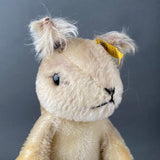 STEIFF Possy Squirrel Hand Puppet ~ ALL IDs 1957-58 Rare!
