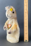 STEIFF Possy Squirrel Hand Puppet ~ ALL IDs 1957-58 Rare!