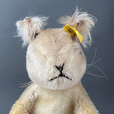 STEIFF Possy Squirrel Hand Puppet ~ ALL IDs 1957-58 Rare!