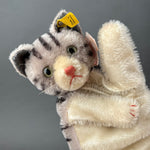 STEIFF Tabby Cat Hand Puppet ~ ALL IDs 1950-58 Rare!