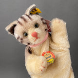 STEIFF Tabby Cat Hand Puppet ~ ALL IDs 1959-67 Rare!