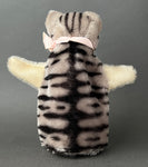STEIFF Tabby Cat Hand Puppet ~ ALL IDs 1950-58 Rare!