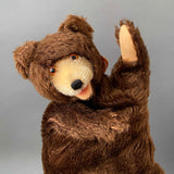 STEIFF Teddy Bear Hand Puppet ~ 1950s
