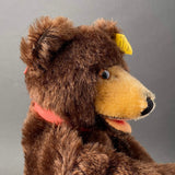 STEIFF Teddy Bear Hand Puppet ~ ALL IDs 1959-67 Rare!
