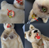 STEIFF Loopy Wolf Hand Puppet ~ ALL IDs 1965-67