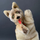 STEIFF Loopy Wolf Hand Puppet ~ ALL IDs 1965-67