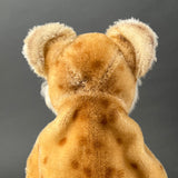 STEIFF Young Lion Hand Puppet ~ 1950-60s
