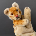 STEIFF Young Lion Hand Puppet ~ 1950s Rare!