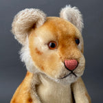 STEIFF Young Lion Hand Puppet ~ 1950s Rare!